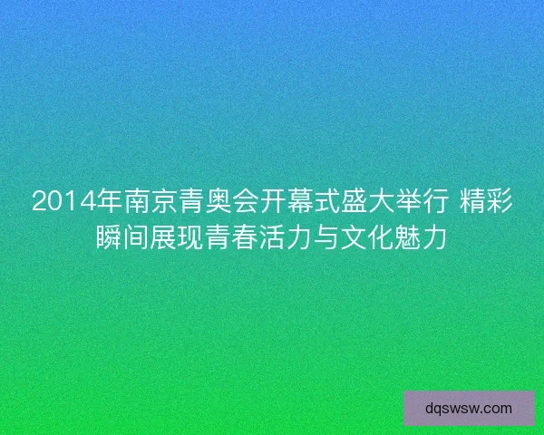 2014年南京青奥会开幕式盛大举行 精彩瞬间展现青春活力与文化魅力 2014年南京青奥会开幕式盛大举行 精彩瞬间展现青春活力与文化魅力
