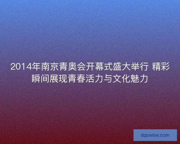 2014年南京青奥会开幕式盛大举行 精彩瞬间展现青春活力与文化魅力 2014年南京青奥会开幕式盛大举行 精彩瞬间展现青春活力与文化魅力